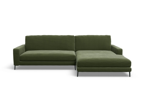 LOXL Medium R